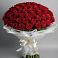 Букет 101 Красная роза Блэк Мэджик в Коксовом
