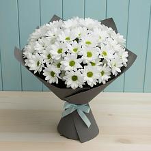 Букет цветов из:  Хризантемы #REPLACE_PRED# Коксовом