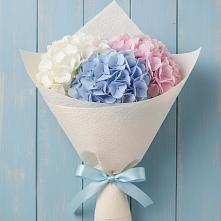 Букет цветов из:  Гортензия в Коксовом