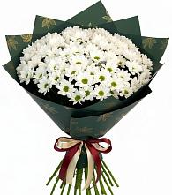 Букет цветов из:  Хризантемы #REPLACE_PRED# Коксовом