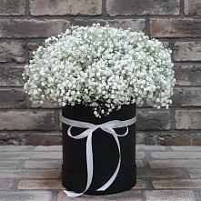 Цветочная композиция из Гипсофила в шляпной коробке в Коксовом