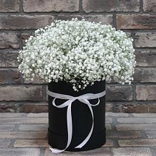 Цветочная композиция из Гипсофила в шляпной коробке в Коксовом